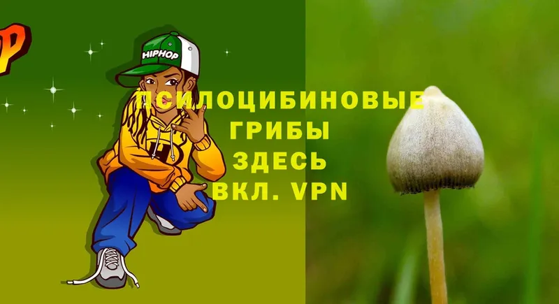 закладка  Пудож  Псилоцибиновые грибы Magic Shrooms 